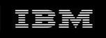 INTERNATIONAL BUSINESS MACHINES (IBM)